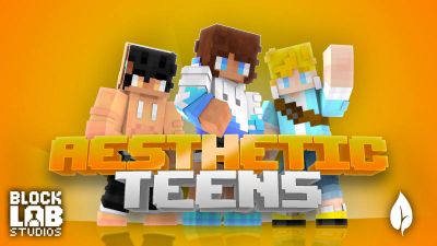 Aesthetic Teens on the Minecraft Marketplace by BLOCKLAB Studios